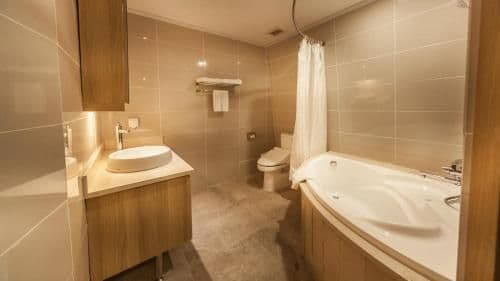 Executive Double or Twin Room