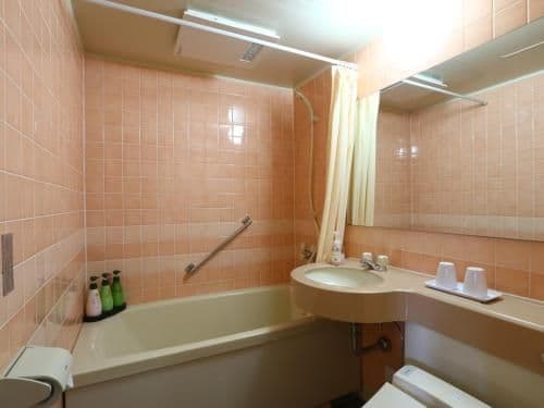 Standard Twin Room with Mountain View