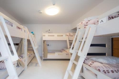 Bunk Bed in 8-Bed Mixed Dormitory Room