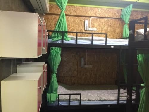 Bunk Bed in Mixed Dormitory Room