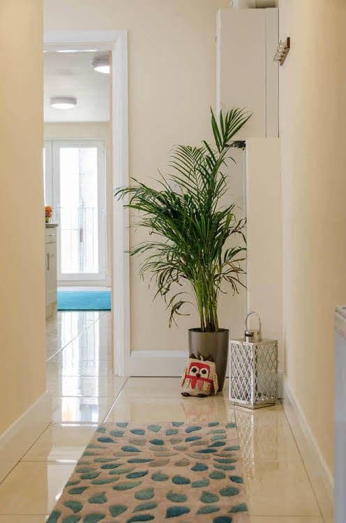 Giant Serviced Apartments