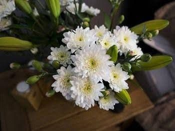 The Black Swan The Black Swan