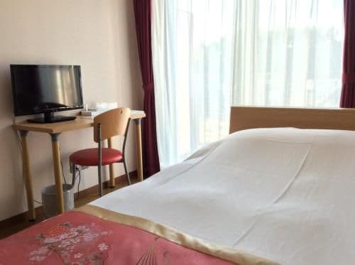 Standard Double Room with Small Double Bed - Mt. Fuji View