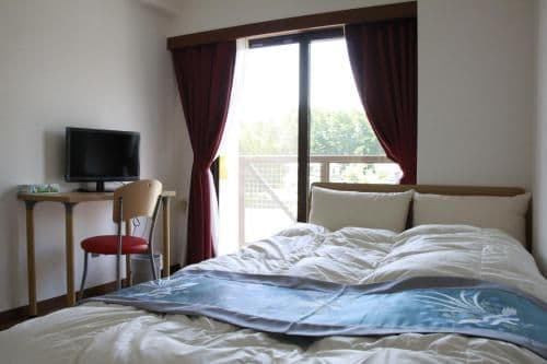 Standard Double Room with Small Double Bed - Mt. Fuji View
