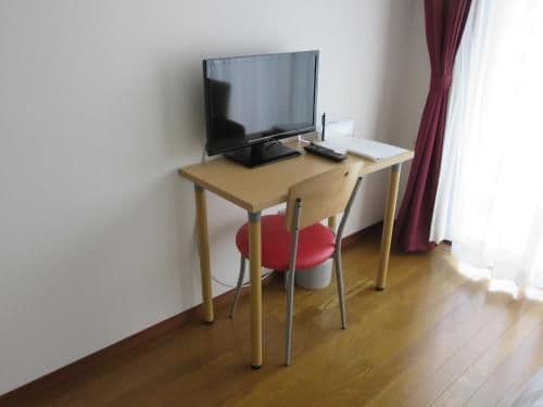Standard Double Room with Small Double Bed - Mt. Fuji View