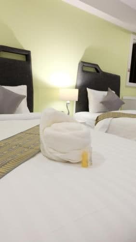 Deluxe Double or Twin Room