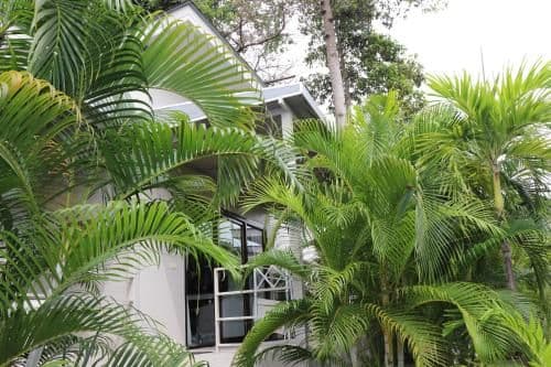 Premium Bungalow