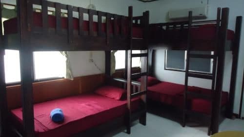 Bed in 6-Bed Mixed Dormitory Room