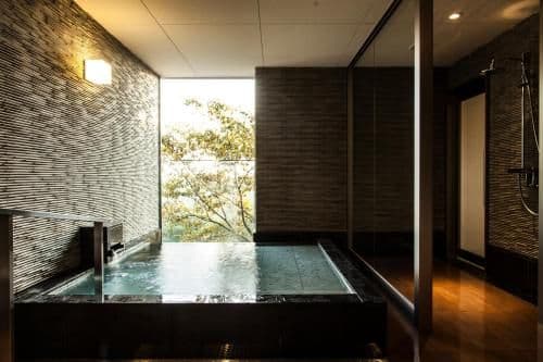 Suite with Sofa Bed and Open-Air Bath Lower Level Floor