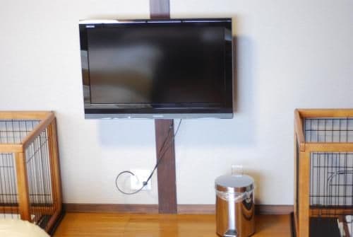 Dog-Friendly Standard Twin Room
