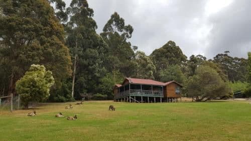 Three-Bedroom Chalet