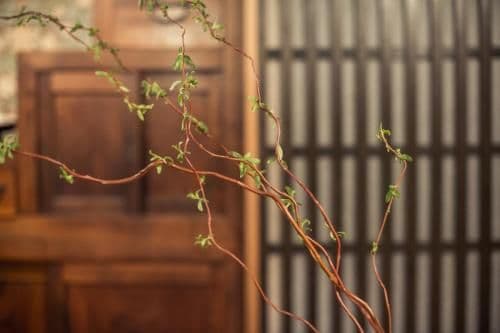 Japanese-Style Townhouse
