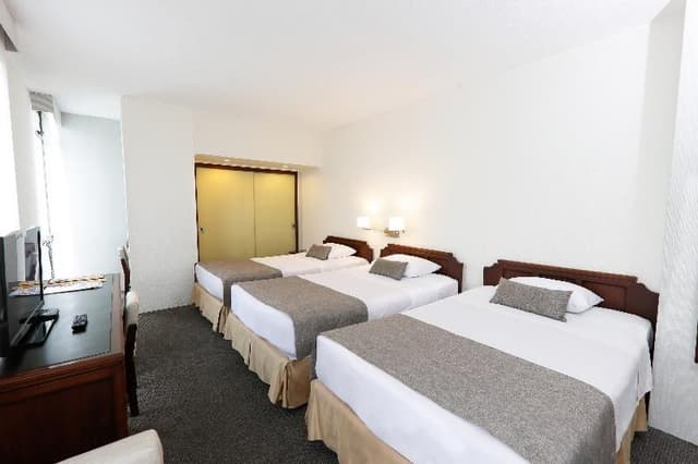 TRIPLE THREE BEDS