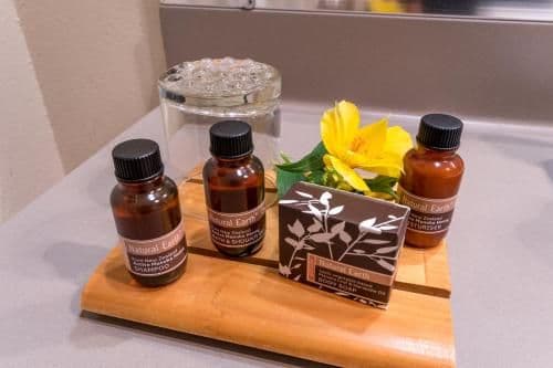 King or Twin Suite with Spa Bath