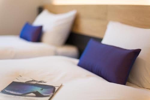 Superior Niseko Room