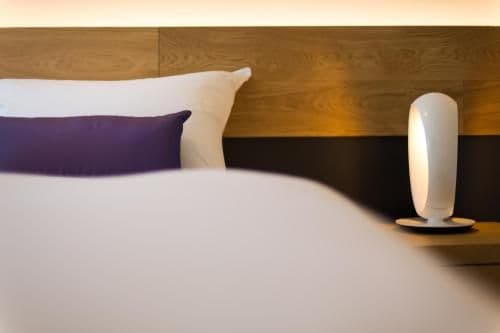Superior Niseko Room