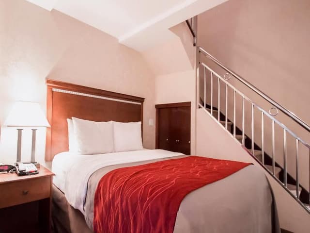 DOUBLE QUEEN SIZE BED