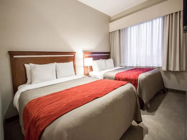 DOUBLE TWO QUEEN BEDS