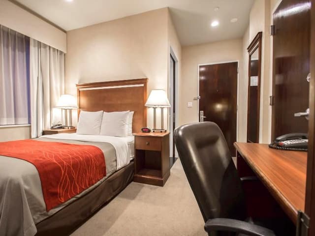 DOUBLE QUEEN SIZE BED