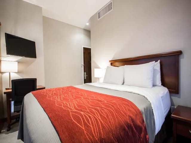 DOUBLE QUEEN SIZE BED