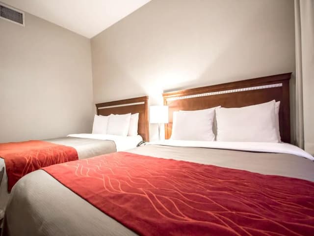 DOUBLE TWO QUEEN BEDS
