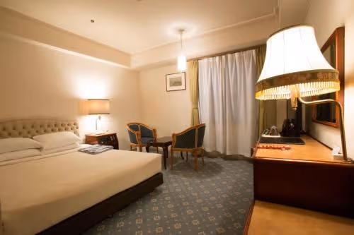 Standard Double Room - Non-Smoking