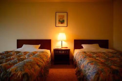Twin Room - Non-Smoking
