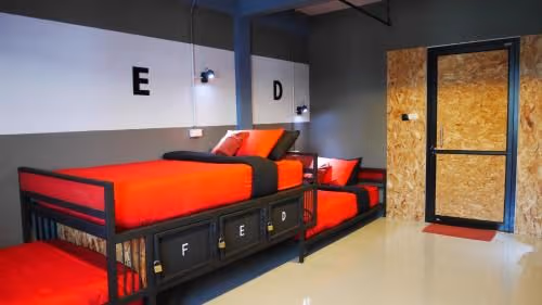 Single Bed in Female Dormitory Room