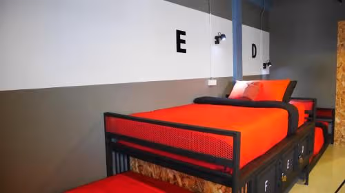 Single Bed in Female Dormitory Room