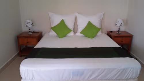 King Room with Garden View
