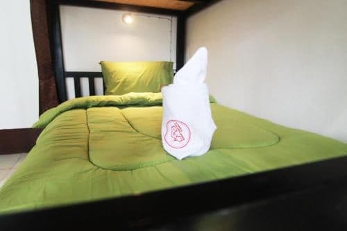 Bunk Bed in Male Dormitory Room