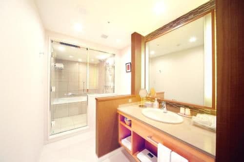 Deluxe Twin Room - Non-Smoking