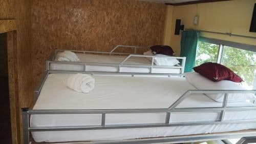 Bed in 6-Bed Female Dormitory Room