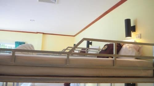 Bunk Bed in Mixed Dormitory Room