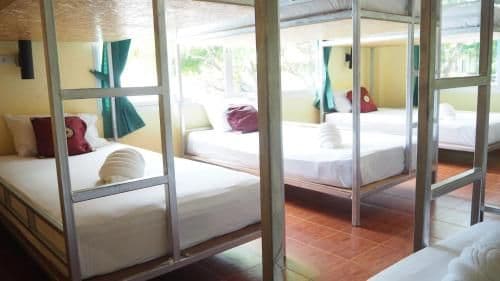 Bunk Bed in Mixed Dormitory Room