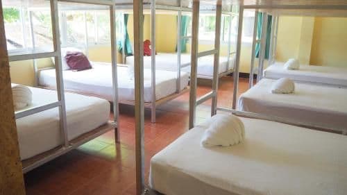 Bunk Bed in Mixed Dormitory Room