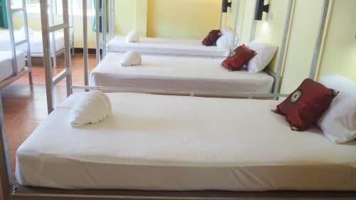 Bunk Bed in Mixed Dormitory Room