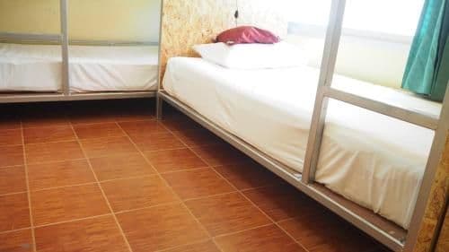 Bed in 4-Bed Mixed Dormitory Room