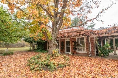 Two-Bedroom Studio - Garden Flat