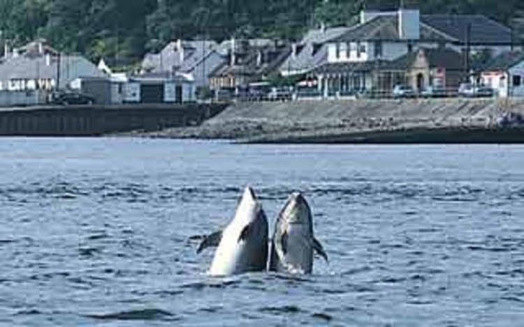North Kessock North Kessock