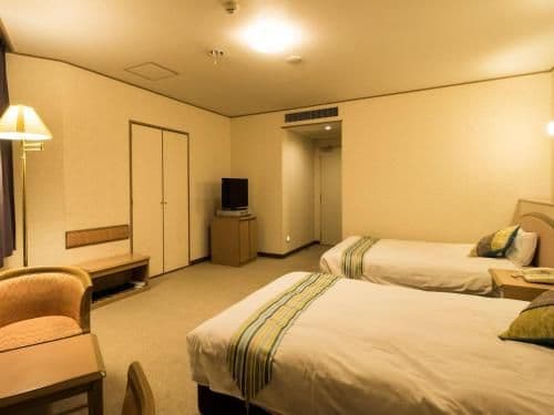 Twin Room - Non-Smoking