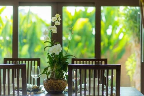Superior Pool Villa