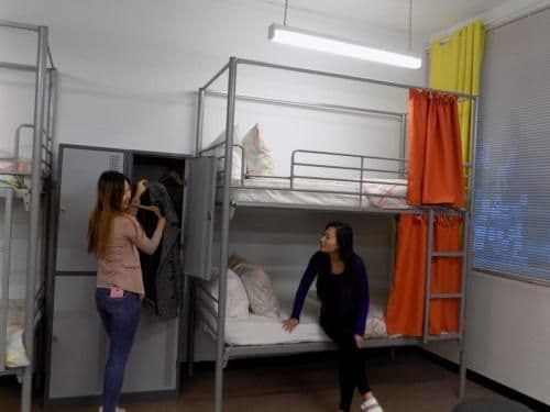 Bed in 6-Bed Mixed Dormitory Room with Shared Bathroom