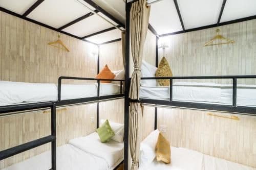 Bunk Bed in Mixed Dormitory Room
