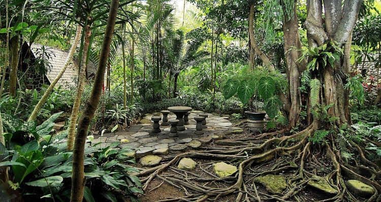 Omah Pakem Resort