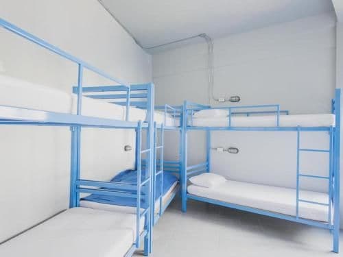 Bunk Bed in 8-Bed Female Dormitory Room