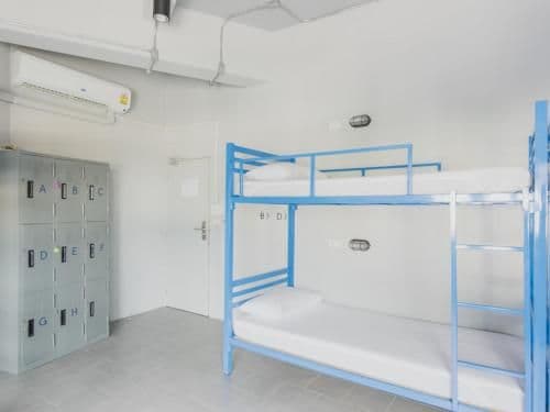 Bunk Bed in 8-Bed Female Dormitory Room