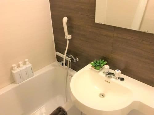 Deluxe Japanese-Style Ensuite Room with Mt.Fuji View