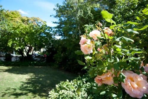 Double Room with Two Double Beds with Private Bathroom