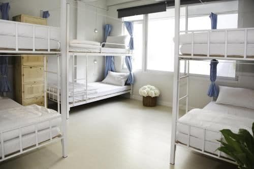 Bunk Bed in 6-Bed Mixed Dormitory Room
